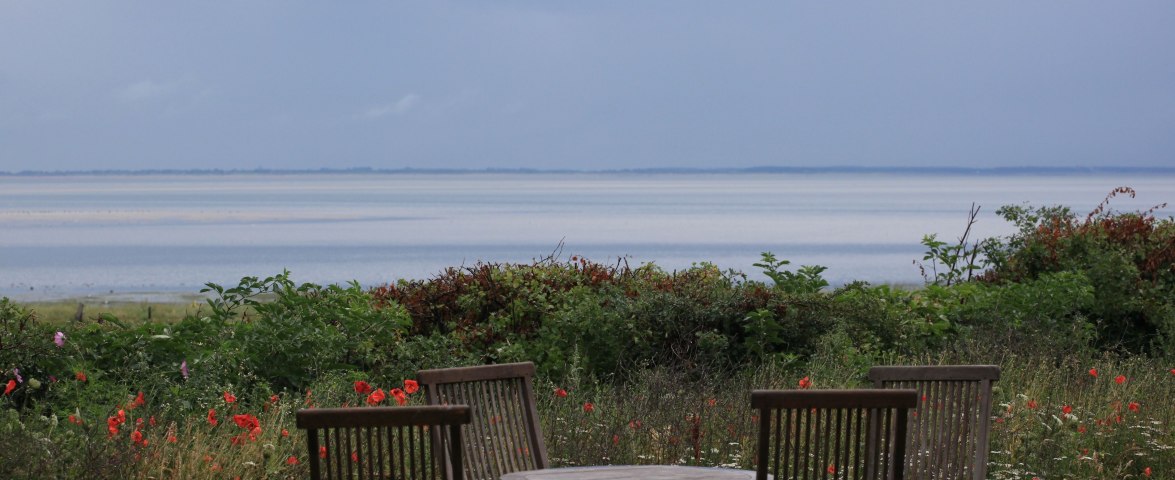Ferienhaus Ambronia mit Meerblick_Amrum, &copy; TOMAS
