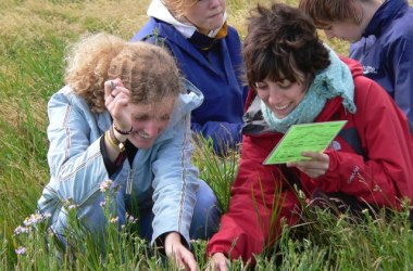 F&uuml;hrung: Was bl&uuml;ht in der Salzwiese auf Amrum?, &copy; Schutzstation Wattenmeer