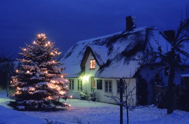Tannenbaumverkauf auf dem Nebeler Sportplatz, © AmrumTouristik AöR