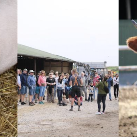 Sommerfest auf dem Hof Martinen, &copy; Hof Martinen