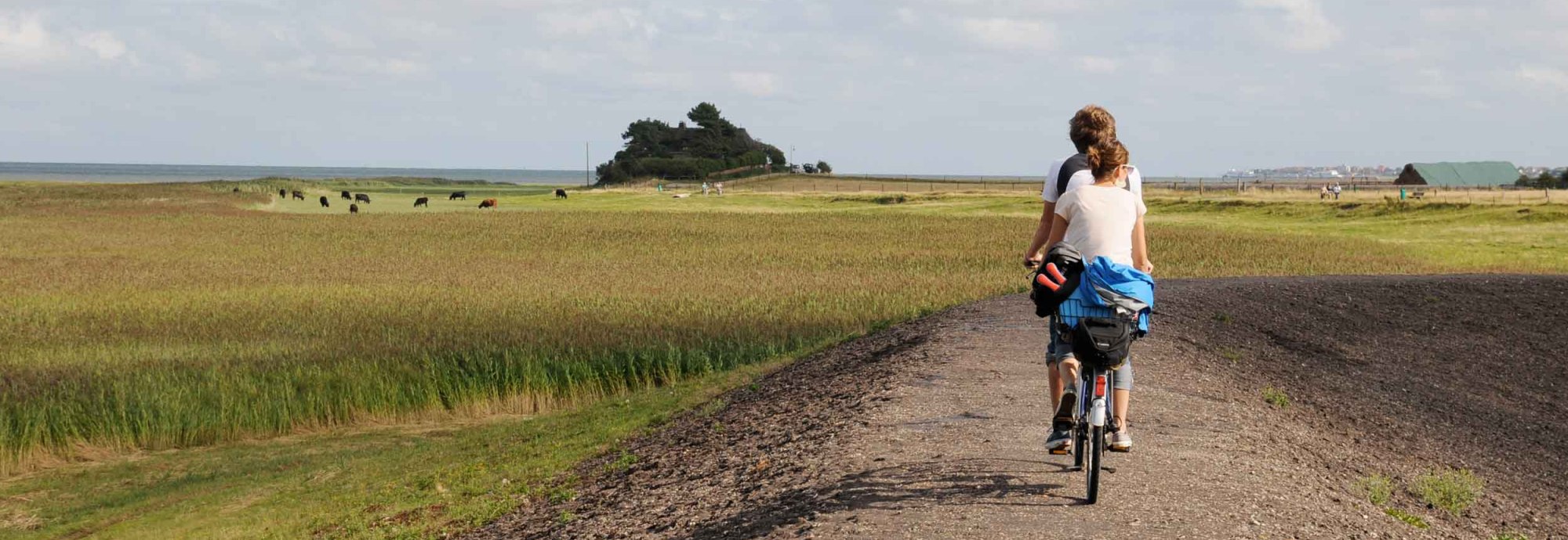 Amrum-Radfahrer-auf-dem-Deich, © Kai Quedens