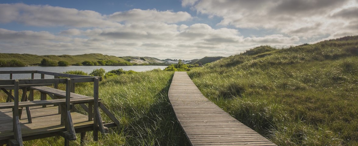 Wittd&uuml;n, Wriakh&ouml;rn - D&uuml;nenwanderweg, &copy; Oliver Franke