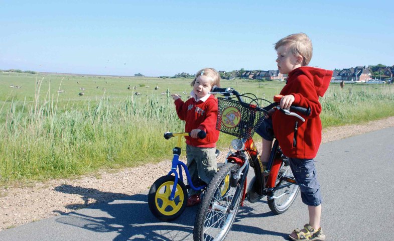 Radfahren Amrum, © KQuedens