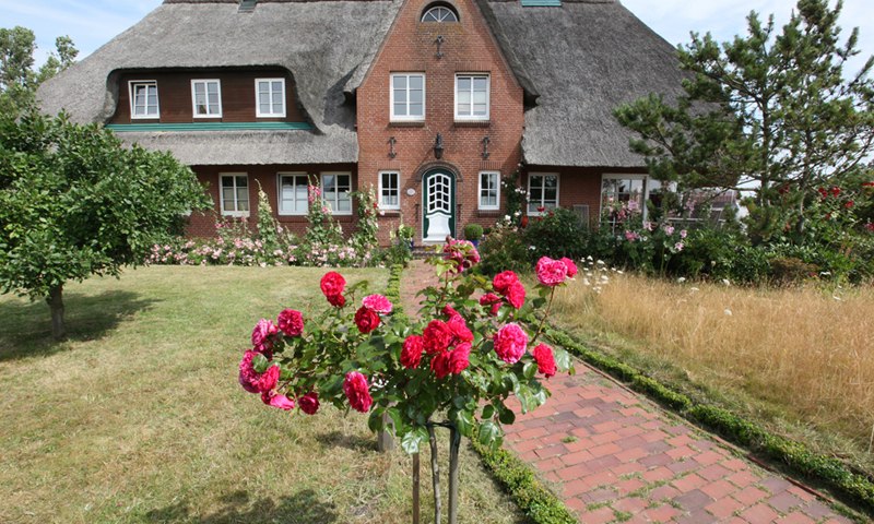Ferienhaus Ambronia mit Meerblick_Amrum, © TOMAS