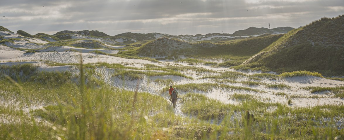 Duenenwanderweg_Wriakhörn (c) Oliver Franke, © O.Franke