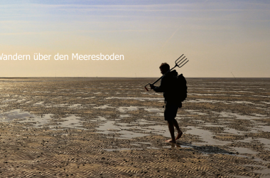 Wattwanderung, © H.Hansen