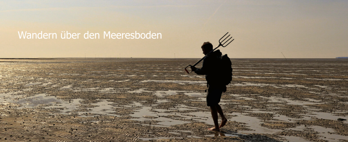 Wattwanderung, &copy; H.Hansen