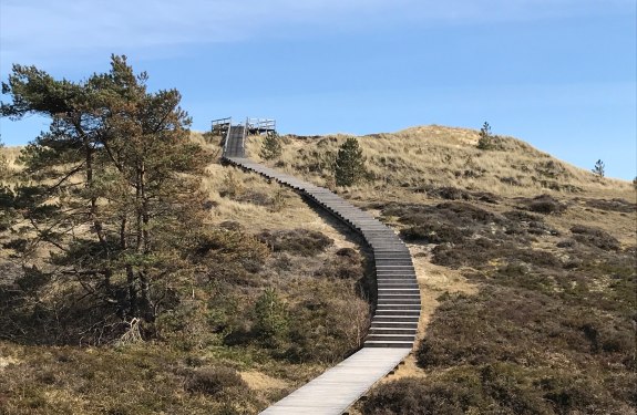 Aussichtsdüne am Tanenwai, © AT