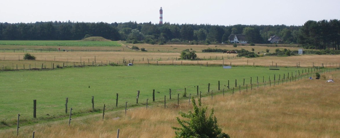 Ausblick zum Leuchtturm, © TOMAS