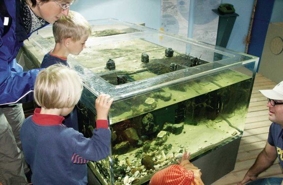 Naturschutzzentrum Amrum , © Kai Quedens