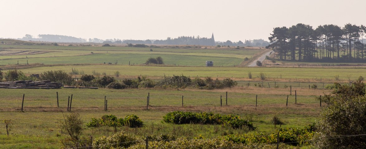 Landschaftsblick Wiese & Watt, © TOMAS Landschaftsblick Wiese & Watt, © TOMAS