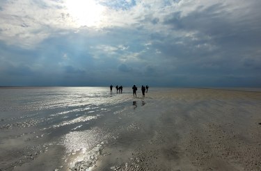 Wattwanderung in den Sonnenaufgang nach F&ouml;hr, &copy; Dark Blome