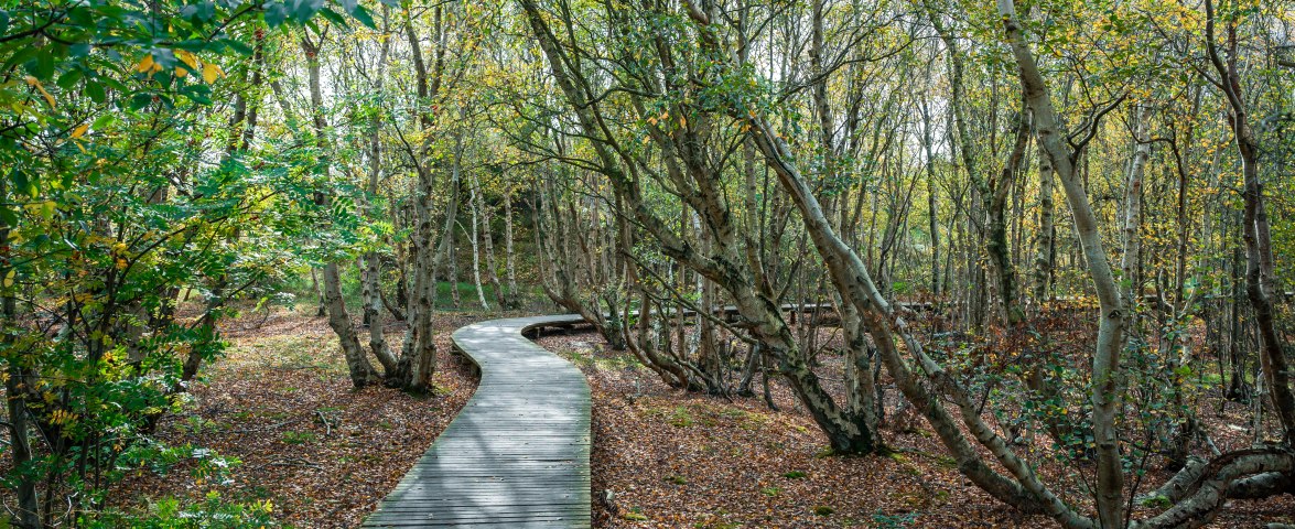 Vogelkoje - Lehrpfad, &copy; Christoph Partsch
