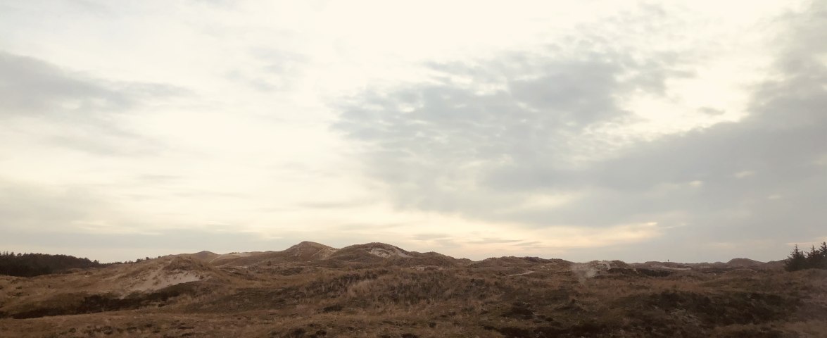 Düne 13 Blick, © Julia Koch