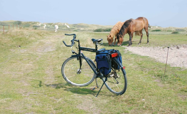 Rad-und-Pferde-auf-Amrum, © KQuedens