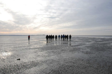 Wattwanderung_Sommer, © D.Blome