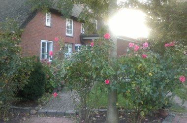 Bi Brodersen, © TOMAS