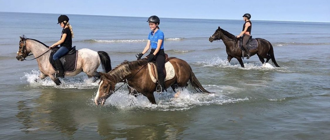 Norddorf, Reiterhof Andresen - Reiten durch Wasser, © Reiterhof Andresen