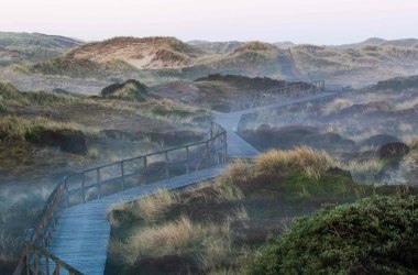 Bohlenweg-im-Herbst-au-Amrum, © Jan Dettmering