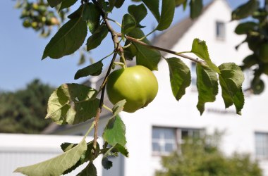 AMRUMBANK – Haus – Vorderansicht, © TOMAS