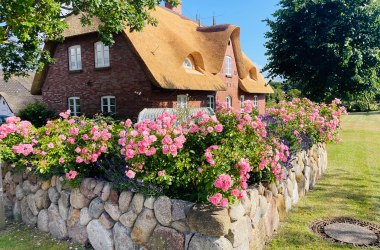 Ferienhaus Bruns Stianoodswai 14a, © TOMAS