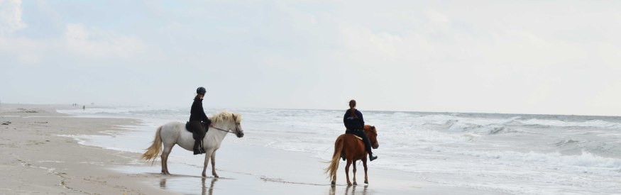 Reiter-am-Strand-von-Amrum, © KQuedens
