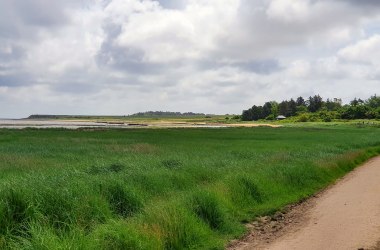 Wattweg_Nebel, © AT