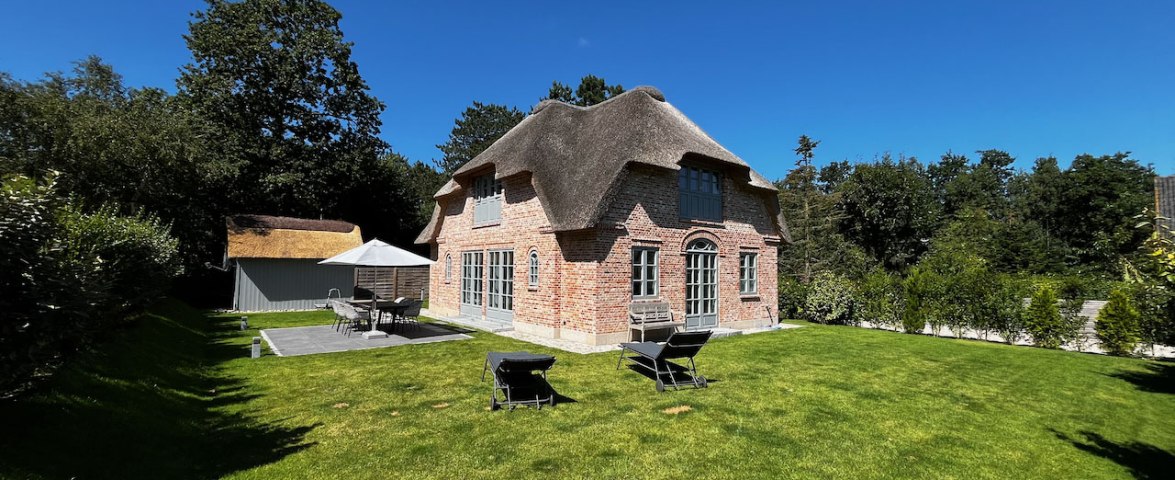 Austernfischer, © Bisseling