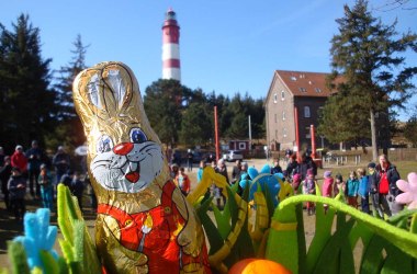 "Der Osterhase war da!", &copy; AmrumTouristik A&ouml;R