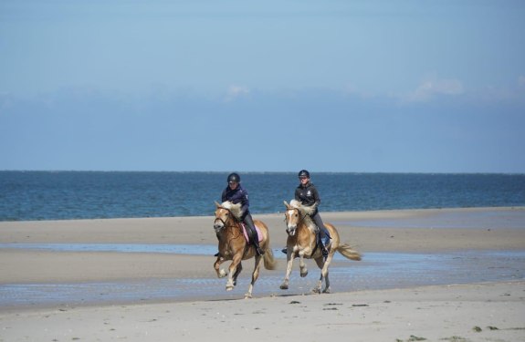 Norddorf, Reiterhof Andresen - Strandausritt, © Reiterhof Andresen