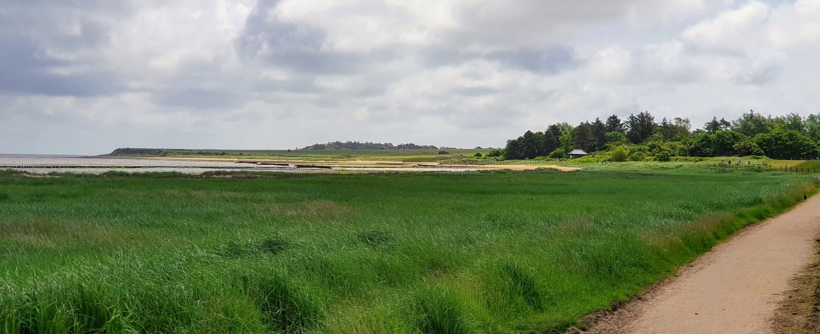 Wattweg_Nebel, © AT