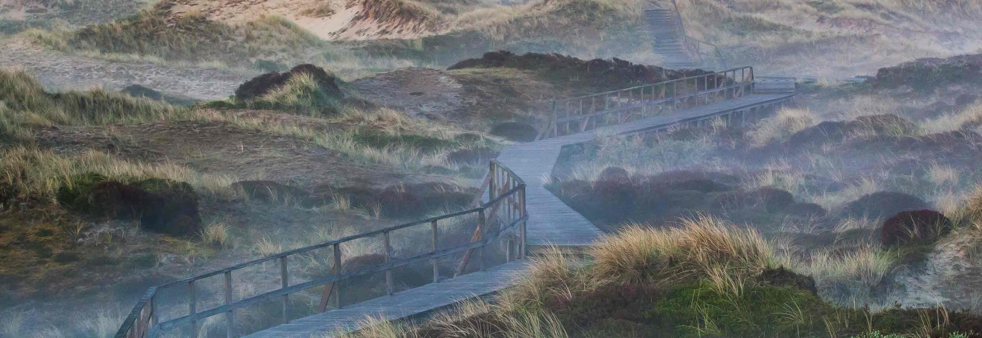 Bohlenweg-im-Herbst-au-Amrum, © Jan Dettmering