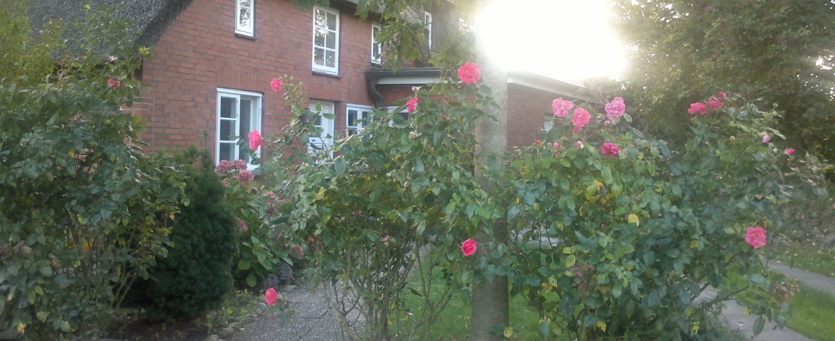Bi Brodersen, © TOMAS
