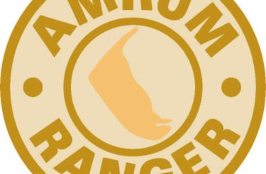 Gruselige Spinnen, © AmrumTouristik AöR