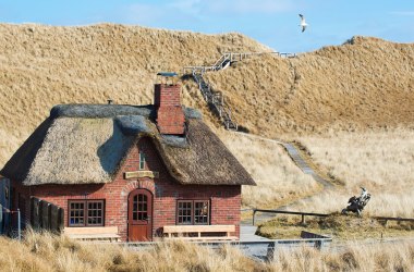 Vogelkundliche Führung, © Verein Jordsand Vogelkundliche Führung, © Verein Jordsand