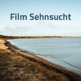 BT Sehnsucht