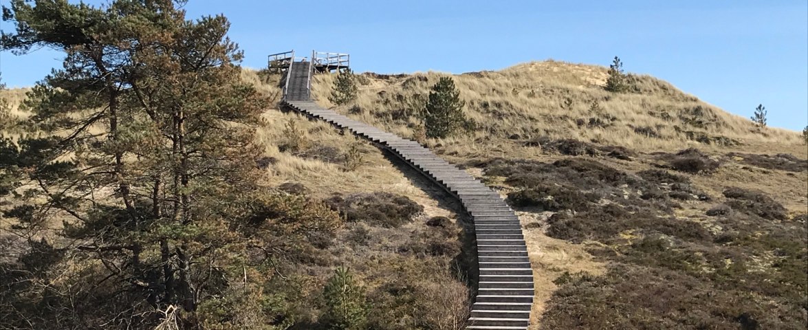 Aussichtsdüne am Tanenwai, © AT