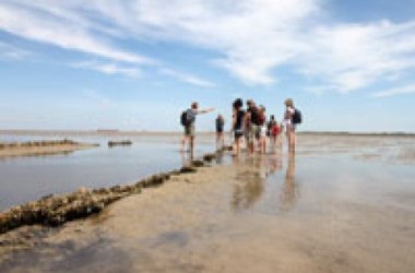 Wattwanderung von F&ouml;hr nach Amrum, &copy; Dark Blome