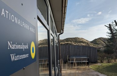 Unterwasser auf der Straße: Meeresmotive mit Straßenkreide gestalten, © Schutzstation Wattenmeer