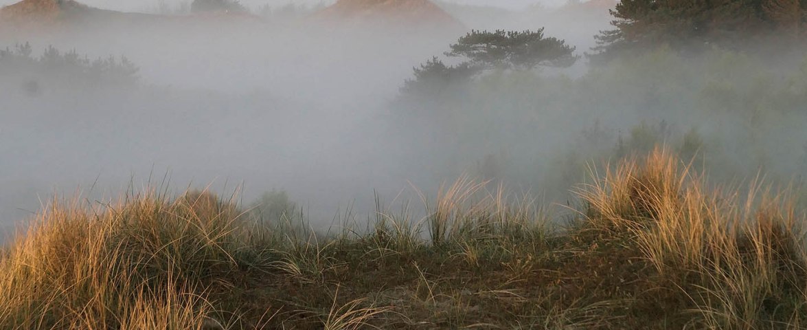 10. Platz, &copy; Eckhardt Wolf, Karlsruhe