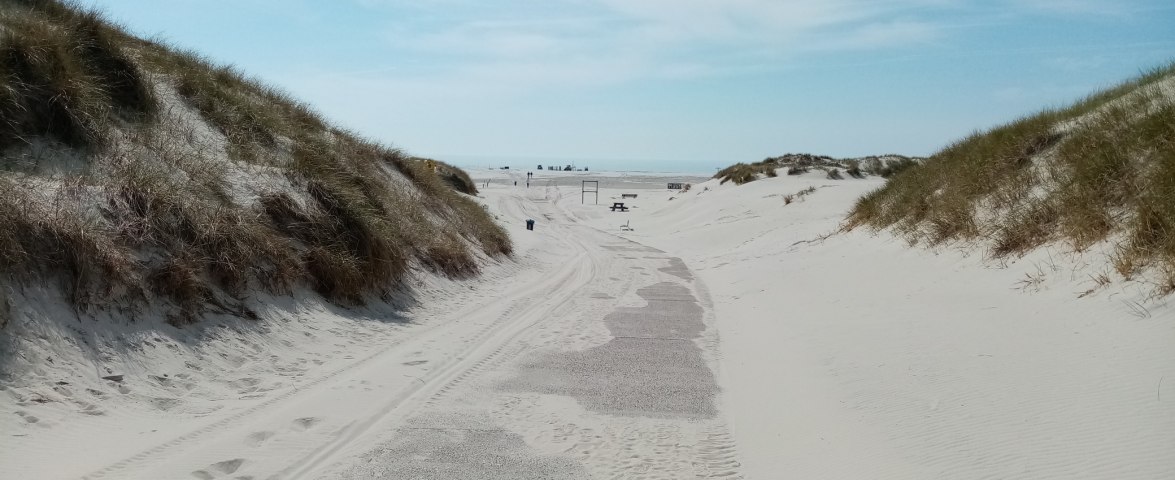 Hauptstrandübergang in Nebel, © AT Hauptstrandübergang in Nebel, © AT