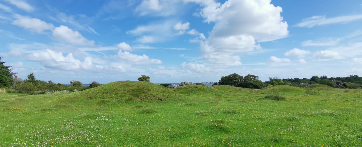 wikingerzeitliches Gr&auml;berfeld, &copy; Caroline Rohlmann