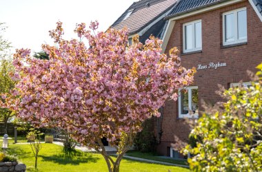 Haus Fleegam, © TOMAS