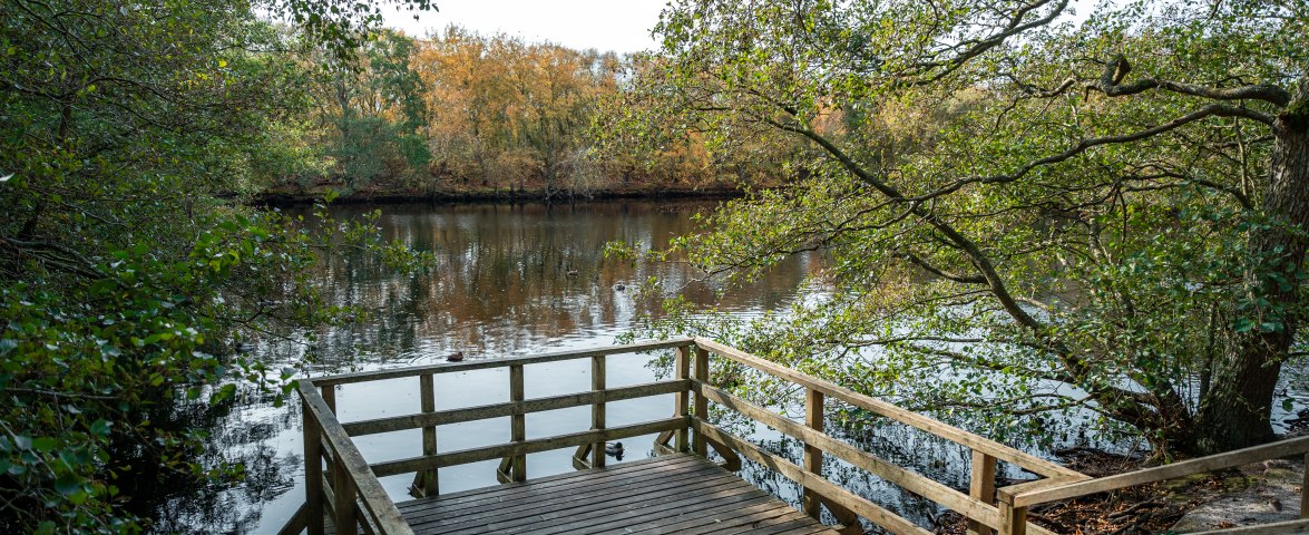 Kojensee im Herbst, &copy; Christoph Partsch