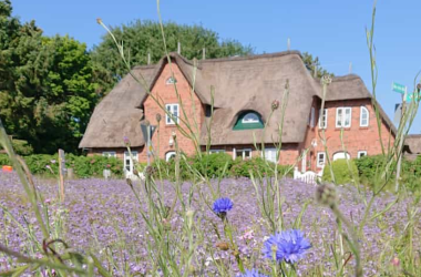 Amrumer Friesenhaus, &copy; Schwarz