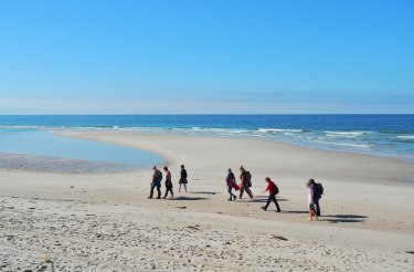 F&uuml;hrung: Der wei&szlig;e Strand von Amrum, &copy; Schutzstation Wattenmeer