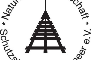 Workshop: Strandfunde bestimmen und Bernsteinschleifen -ABGESAGT-, &copy; Schutzstation Wattenmeer