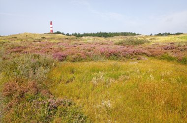 Auf den Spuren der Kreuzkr&ouml;te, &copy; Hanna Zimmermann