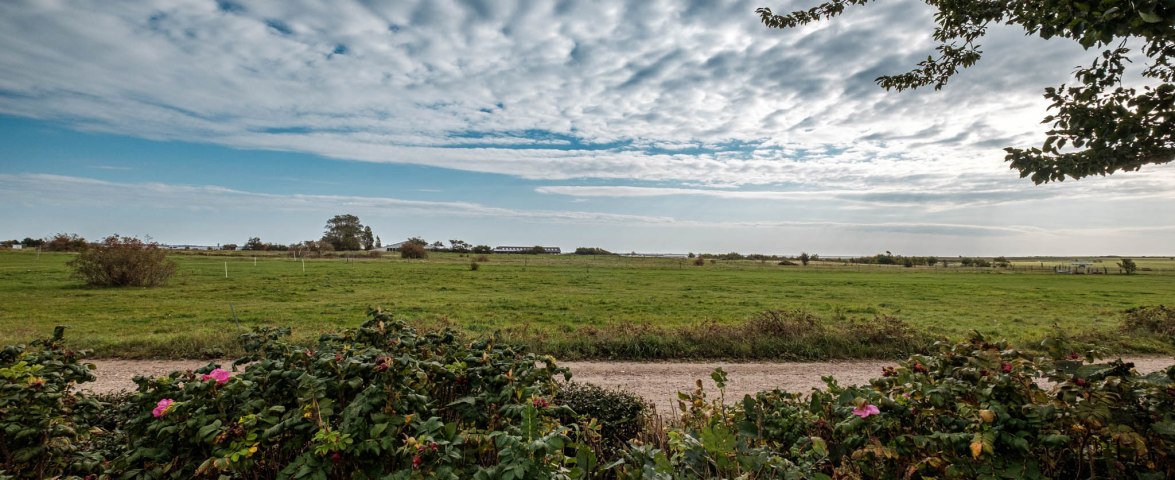 Blick aus dem Garten, © TOMAS