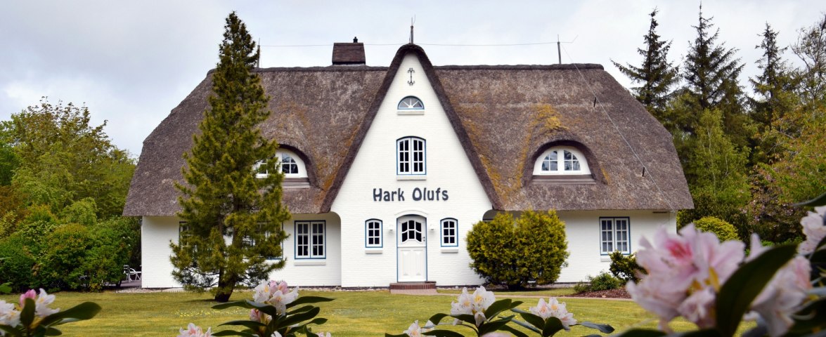Hark Olufs, © TOMAS